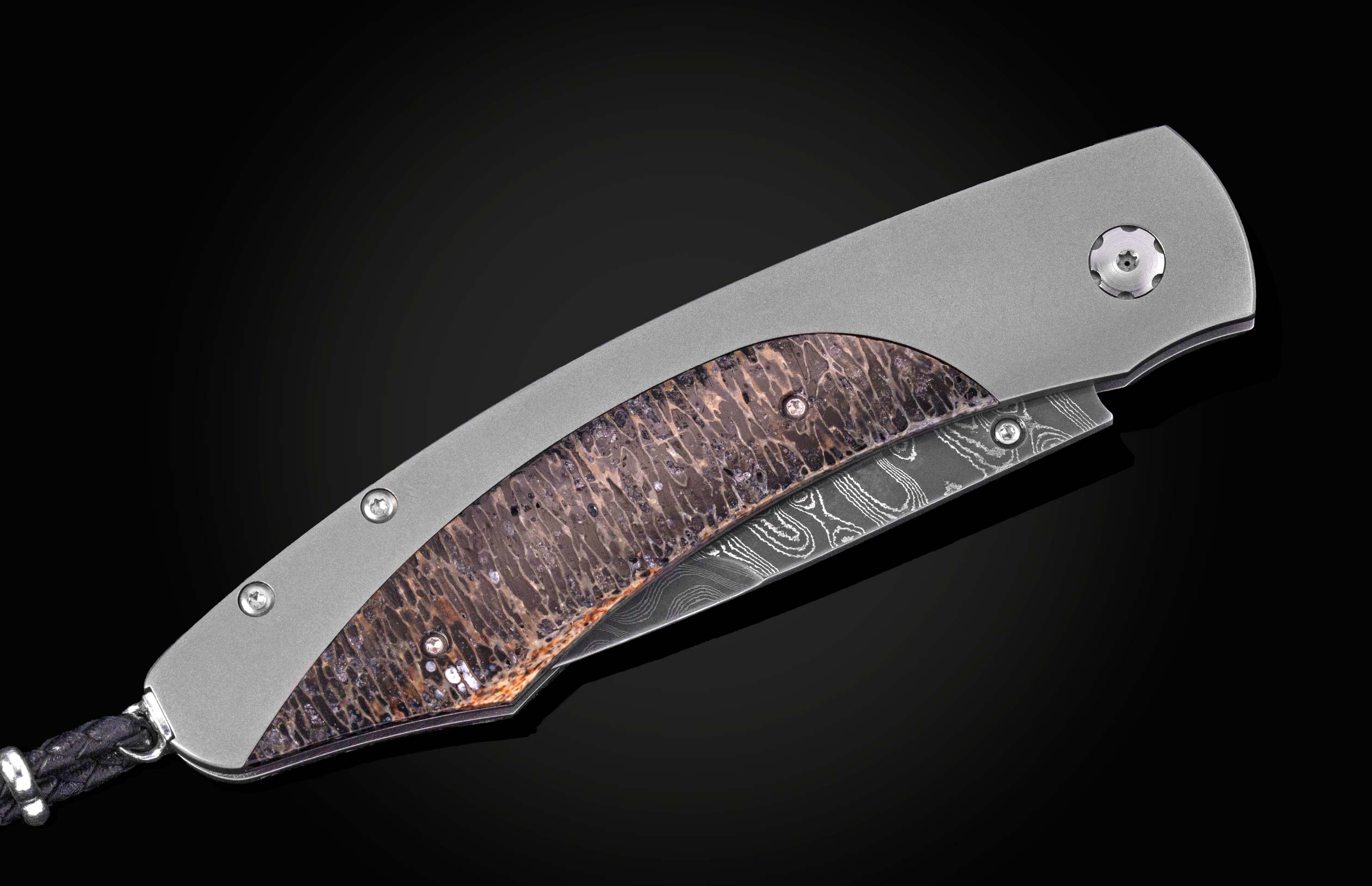 B12 Titan Fossil - Image 3