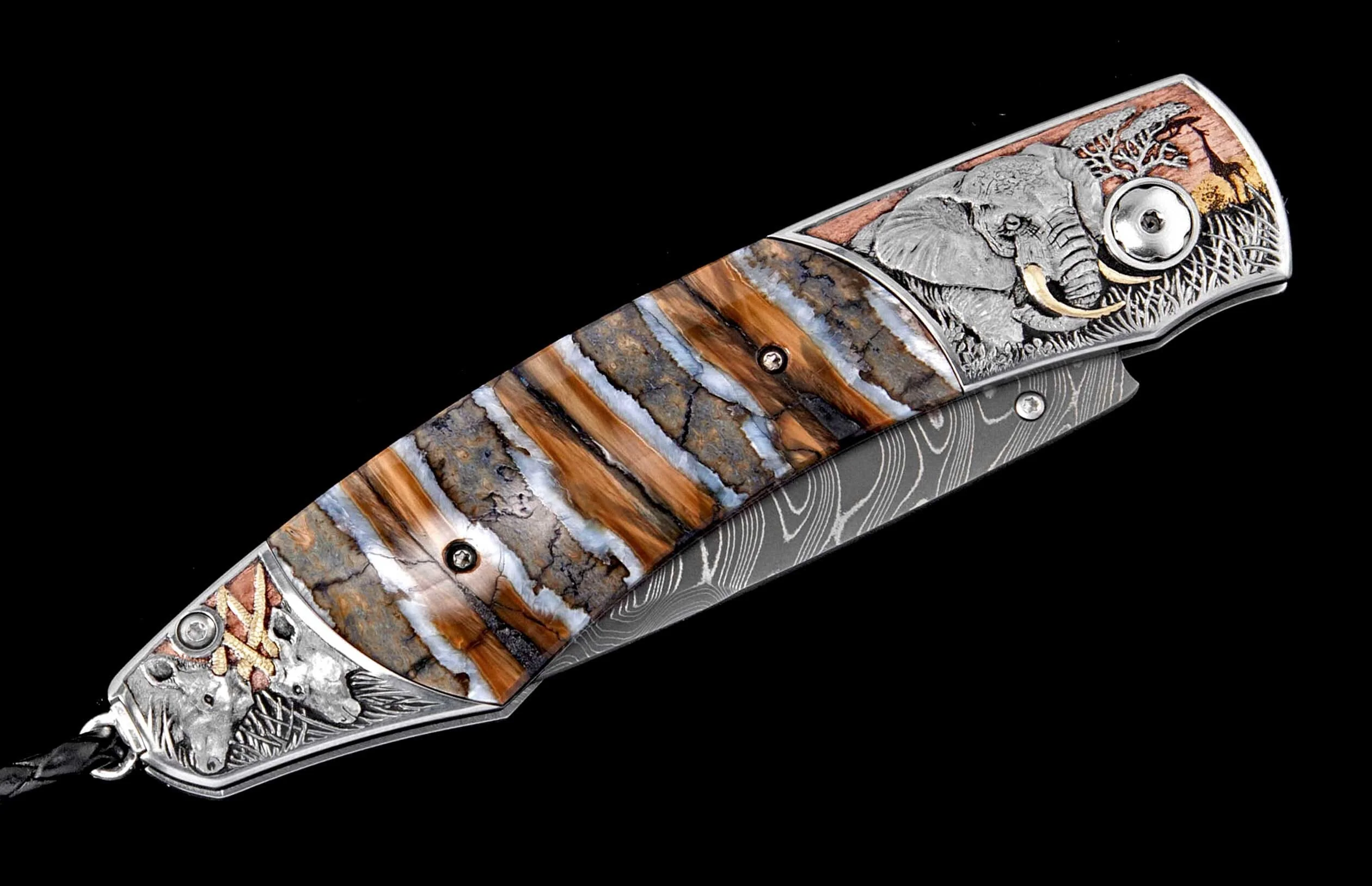 B12 African Savanna - Image 3