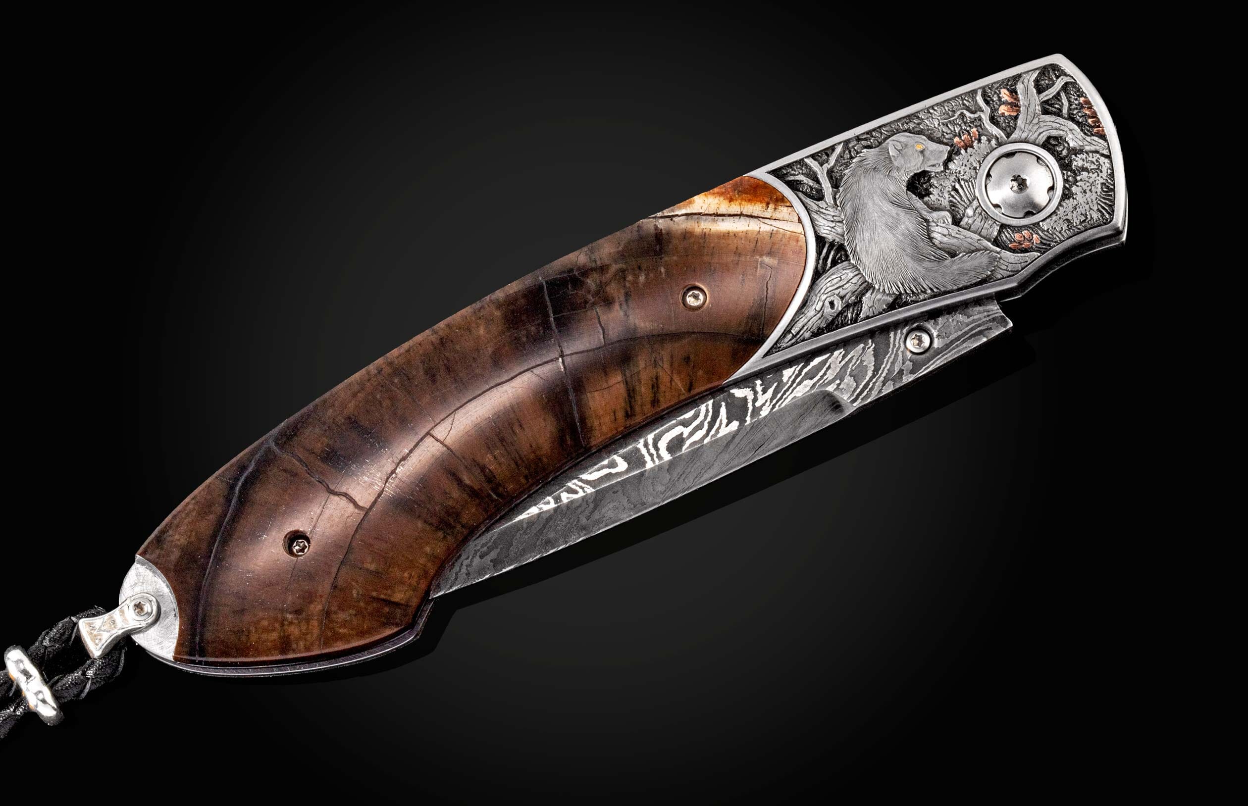 B12 Wolverine - Image 3